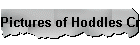 Pictures of Hoddles Creek