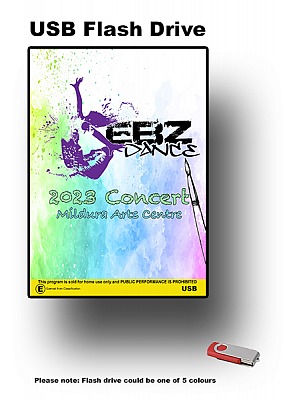 EBZ DANCE 2023 - USB